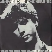Frank Boeijen - Cold In My Heart