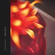 Frank Schweikhardt - Keep Me In