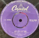 7inch Vinyl Single - Frank Sinatra - (How Little It Matters) How Little We Know