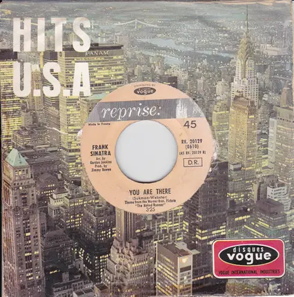 Frank Sinatra - The World We Knew (Over And Over)