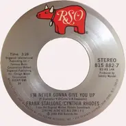 Frank Stallone / Cynthia Rhodes - I'm Never Gonna Give You Up