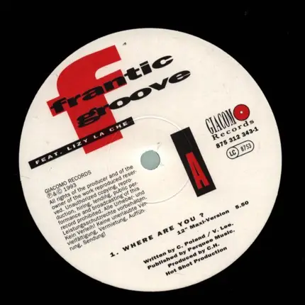 Frantic Groove Feat. Lizzy La Shé - Where Are You?