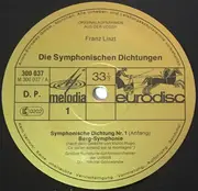 LP-Box - Liszt - Die Symphonischen Dichtungen (The Symphonic Poems No. 1-12) - Hardcoverbox