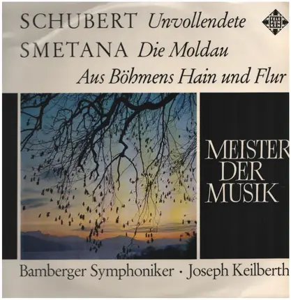 Franz Schubert , Bedřich Smetana - Symphonie Nr. VIII H-Moll 'Unvollendete' / Die Moldau Aus Böhmens Hain Und Flur