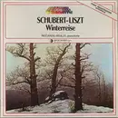LP - Franz Schubert , Franz Liszt , Riccardo Risaliti - Die Winterreise