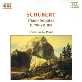 Franz Schubert - Piano Sonatas D. 784 • D. 894