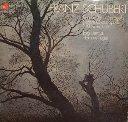 Franz Schubert , Jörg Demus - Sonaten