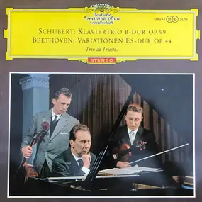 Franz Schubert - Piano Trio Op. 99 / Variations Op. 44