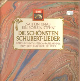 Franz Schubert - 'Sah ein Knab ein Röslein Stehn' Die schönsten Schubert-Lieder