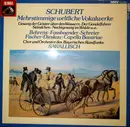 LP - Franz Schubert - Mehrstimmiges Weltliches Vokalwerk - Secular Vocal Music
