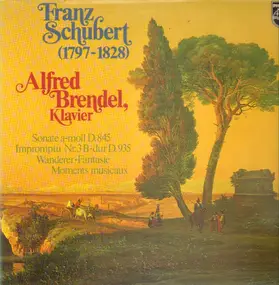 Franz Schubert - Moments Musicaux