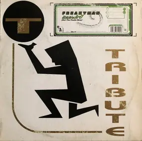 Freakyman - Discobug '97  (Got The Feelin' Now)