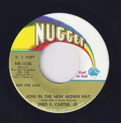 Fred Carter, Jr. - Joni In The New Mown Hay