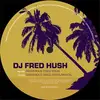 12inch Vinyl Single - Fred Hush - Dangerous Disco