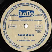 Fred Hollerbach All-Stars - Angel Of Love / Liebestraum