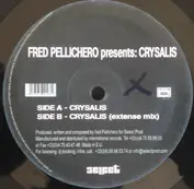 FRED PELLICHERO