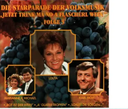 Fred Rauch, Kurt Dehn a.o. - Die Starparade Der Volkmusik Folge 3