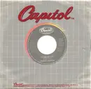7inch Vinyl Single - Freddie Jackson - You Are My Lady