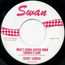 7inch Vinyl Single - Freddy Cannon - What's Gonna Happen When Summer's Done