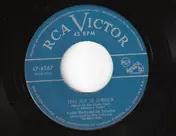 Freddy Martin & His Orchestra - Take Her To Jamaica