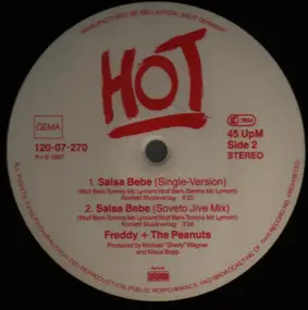 Freddy - Salsa Bebe