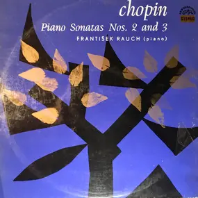 Frédéric Chopin - Piano Sonatas Nos. 2 And 3