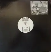 12inch Vinyl Single - Fredro Starr - Perfect Chick