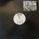 12inch Vinyl Single - Fredro Starr - Perfect Chick