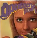 Double LP - Fred Raymond, Ralph Bénatzky, ... - Das grosse Operetten-Album