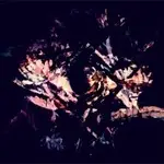 Fredrik - Flora