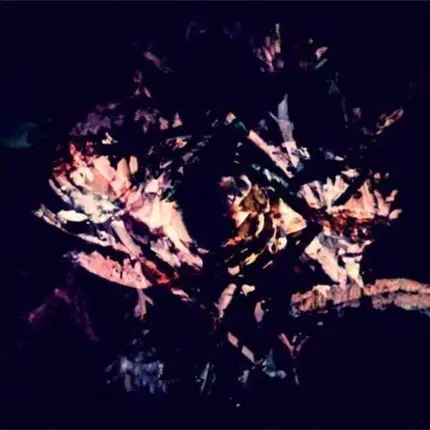 Fredrik - Flora