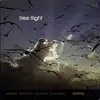 LP - Free Flight - Soaring