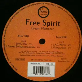 Free Spirit - Dream Flamenco