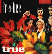 12inch Vinyl Single - Freebee - True