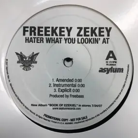 Freekey Zekey - Hater What You Lookin' At