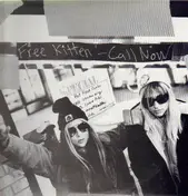 Free Kitten - Call Now