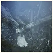 CD - French For Rabbits - Spirits