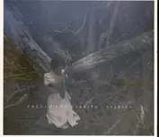 PIAS UK / FAT POSSUM / LEFSE