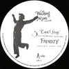 12inch Vinyl Single - Frendzy - Can't Stop