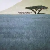 The Frequency - Frequency
