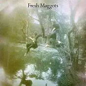 Fresh Maggots - HATCHED