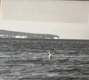 CD - Frittenbude - Küken Des Orion