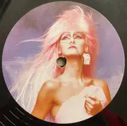 12inch Vinyl Single - Frizzby Fox - Pretty Boys