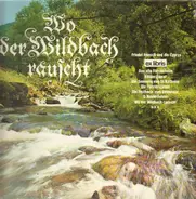 Friedel Hensch und die Gyprys - Wo der Wildbach rauscht