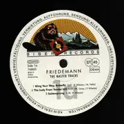Double LP - Friedemann - The Master Tracks - Insert incl.