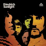 Friedrich Sunlight - Kommen und Gehen