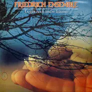 Friedrich Ensemble - Es Gibt Noch And're Träume