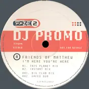 Friends of Matthew - I'm Here You're Here