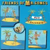 7inch Vinyl Single - Friends Of Mr. Gomes - Hela Coconata