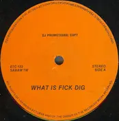 Friends Of Alex - What Is Fick Dig